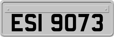 ESI9073