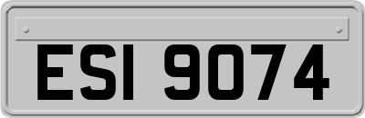 ESI9074