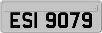 ESI9079