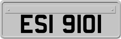 ESI9101
