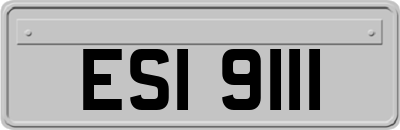 ESI9111