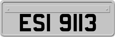 ESI9113