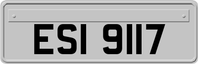 ESI9117