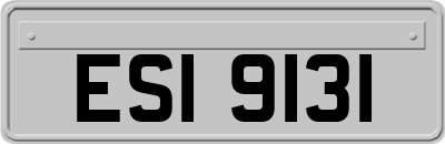 ESI9131