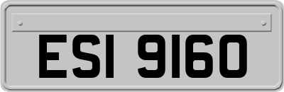 ESI9160