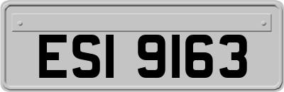 ESI9163