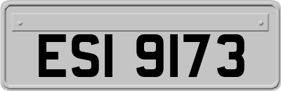 ESI9173