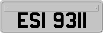 ESI9311