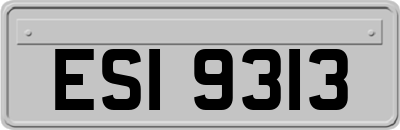 ESI9313