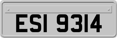 ESI9314