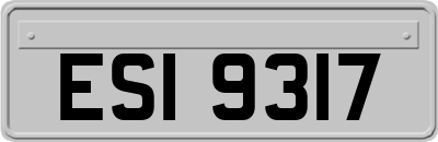 ESI9317