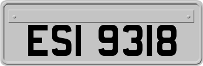 ESI9318