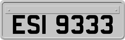 ESI9333