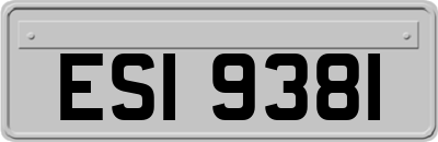 ESI9381