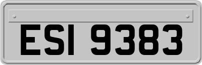 ESI9383