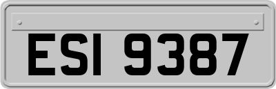 ESI9387