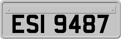 ESI9487