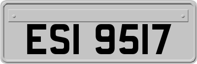 ESI9517