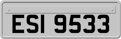 ESI9533