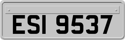 ESI9537