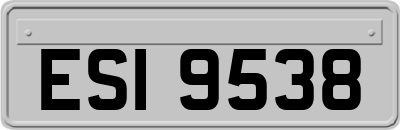 ESI9538