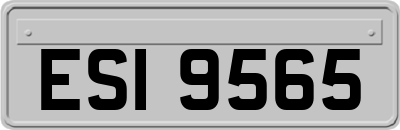 ESI9565