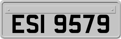 ESI9579