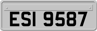 ESI9587