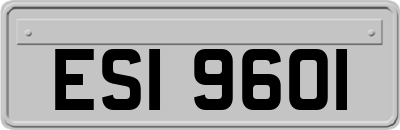 ESI9601