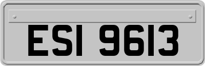 ESI9613