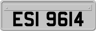 ESI9614