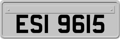 ESI9615