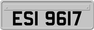 ESI9617