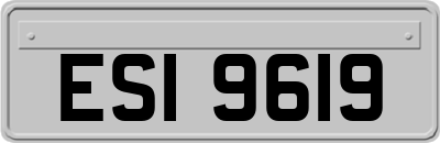 ESI9619