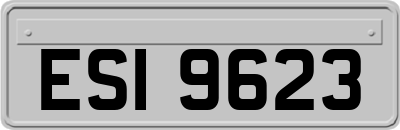 ESI9623