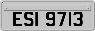 ESI9713