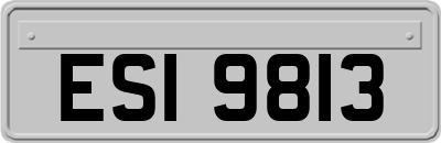 ESI9813