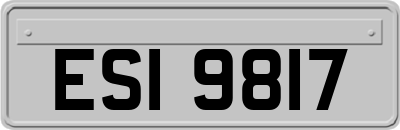 ESI9817