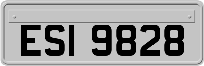 ESI9828