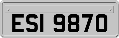 ESI9870