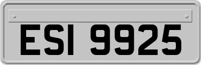 ESI9925