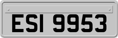 ESI9953