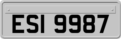 ESI9987
