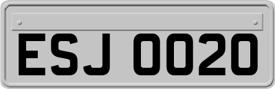 ESJ0020