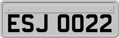 ESJ0022