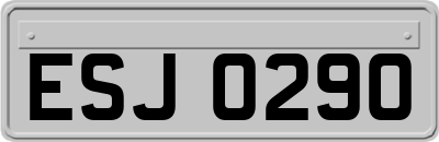 ESJ0290