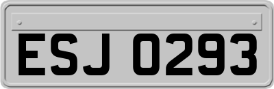 ESJ0293