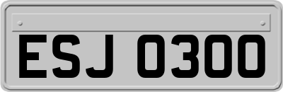 ESJ0300