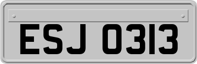 ESJ0313