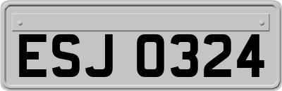 ESJ0324